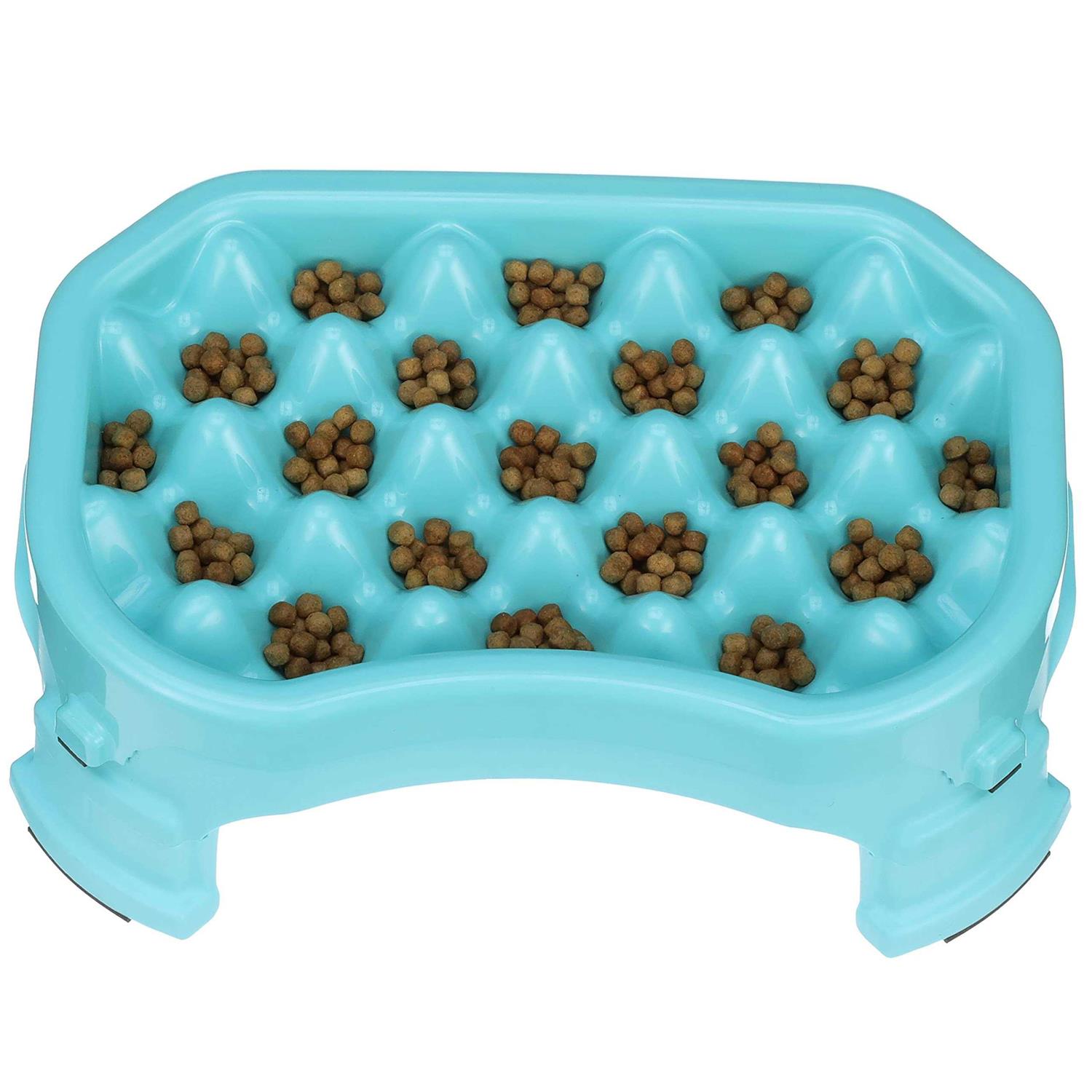 Neater Pet Brands Neater Raised Slow Feeder Dog Bowl