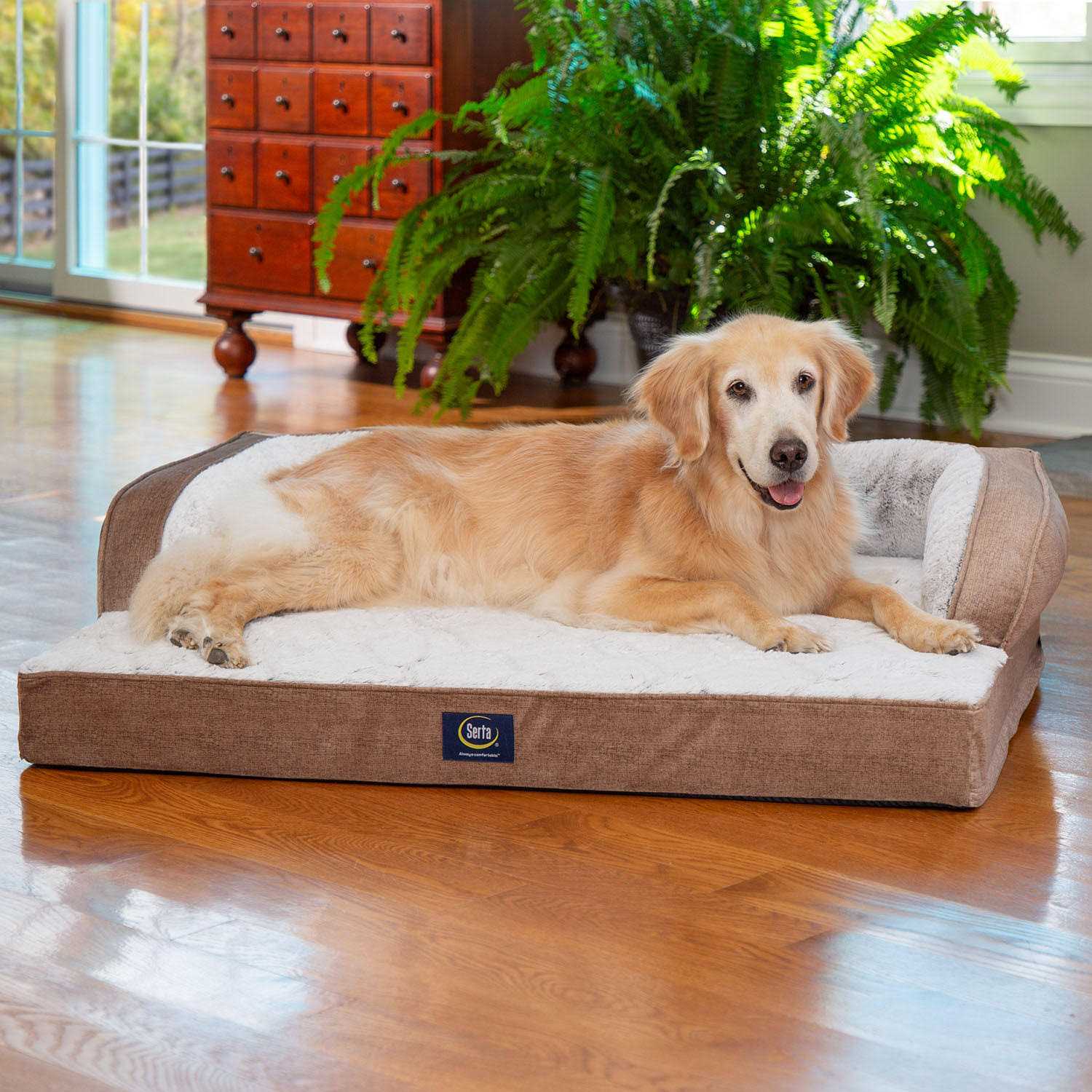 Serta XL Luxury Sleeper Sofa Pet Bed