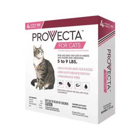 Provecta Pro Collar