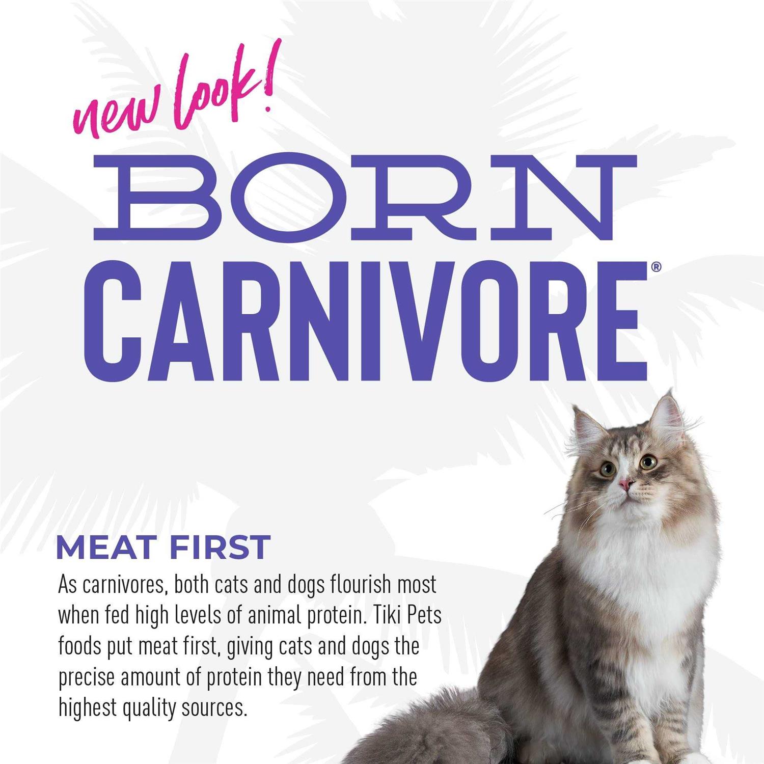 Tiki Cat Born Carnivore Turkey Light Dry Food