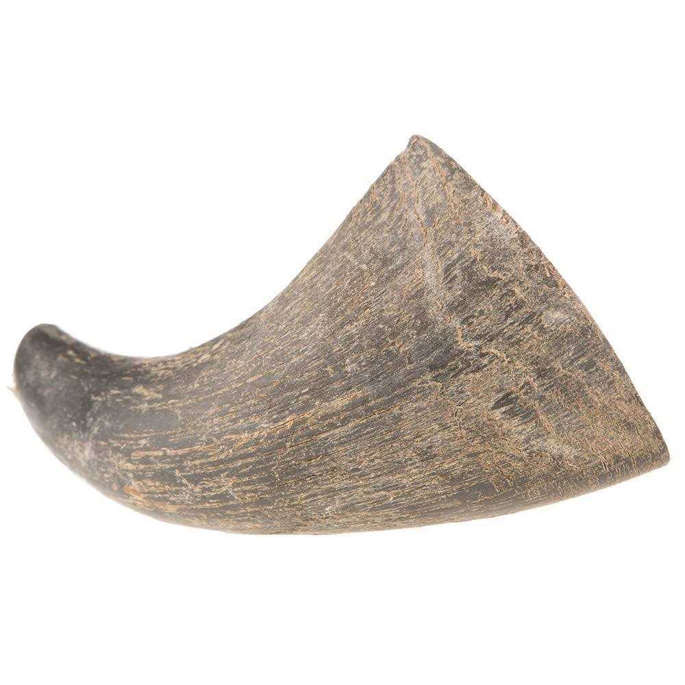 QT Dog Water Buffalo Horn Small