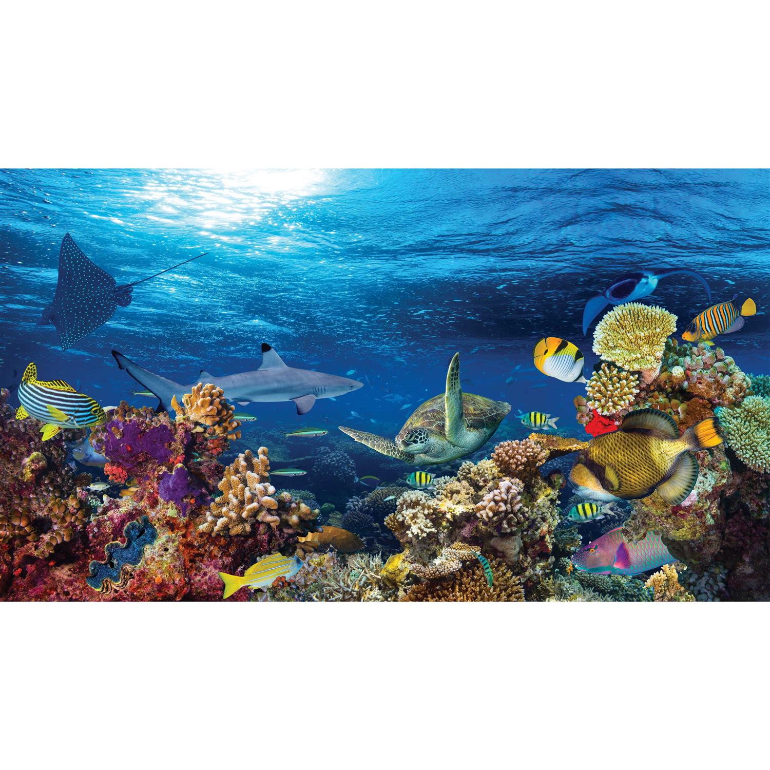 Top Fin Sunlight and Coral Reef Forest Reversible Aquarium Tank Background