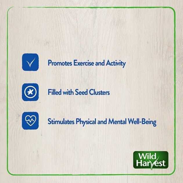 Wild Harvest Foraging Instincts Peck n Play Interactive Treat