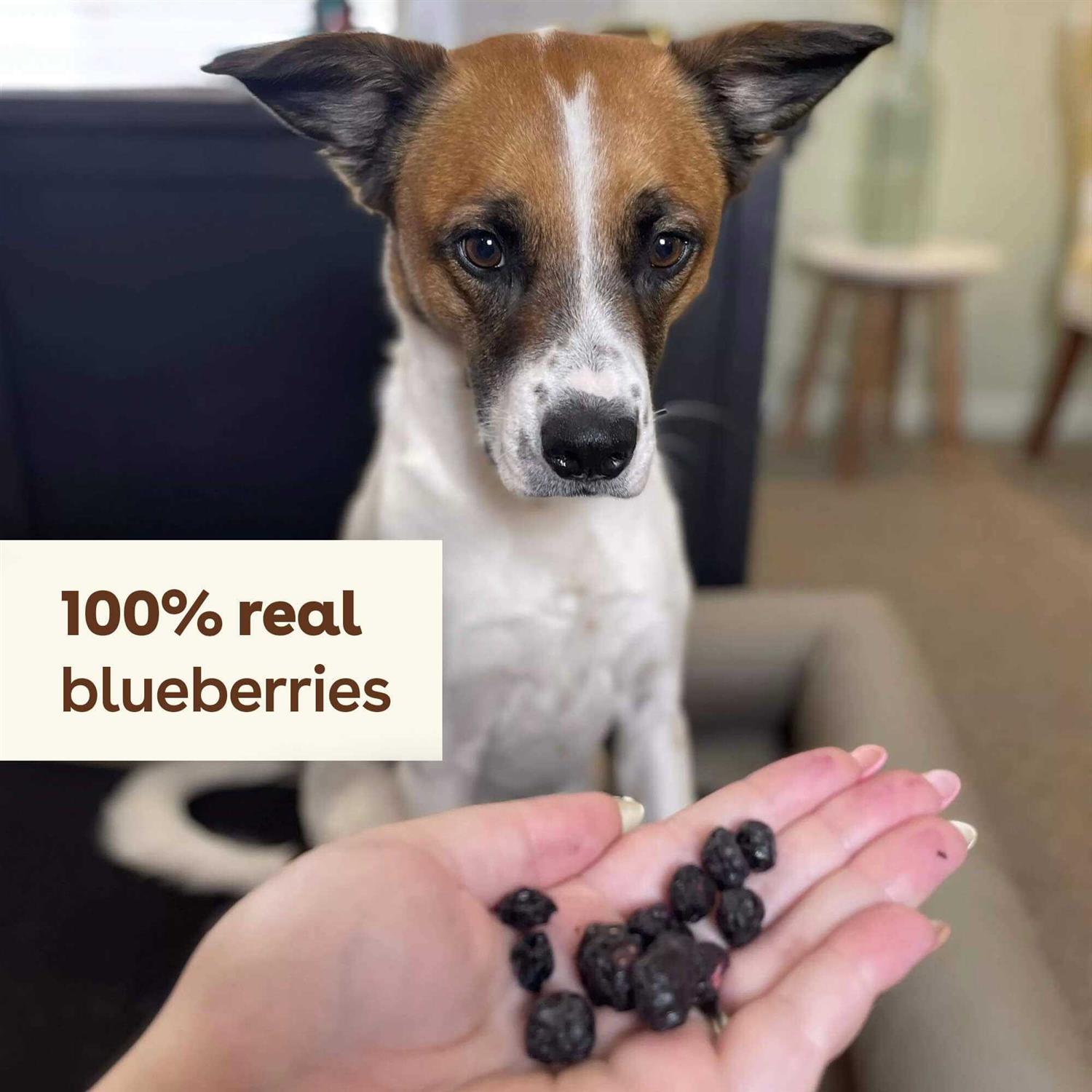 Pupford Freeze Dried Dog Training Treats 425+ Puppy & Dog Treats