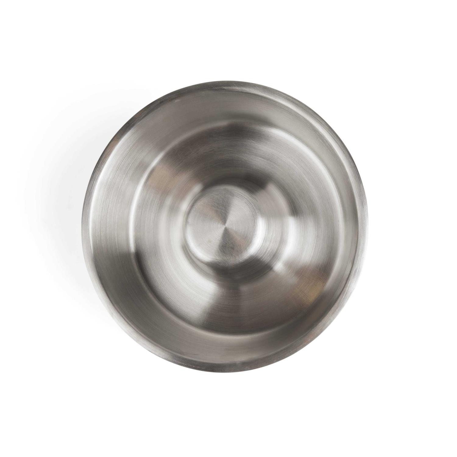 Reddy Slanted Slowfeeder Dog Bowl