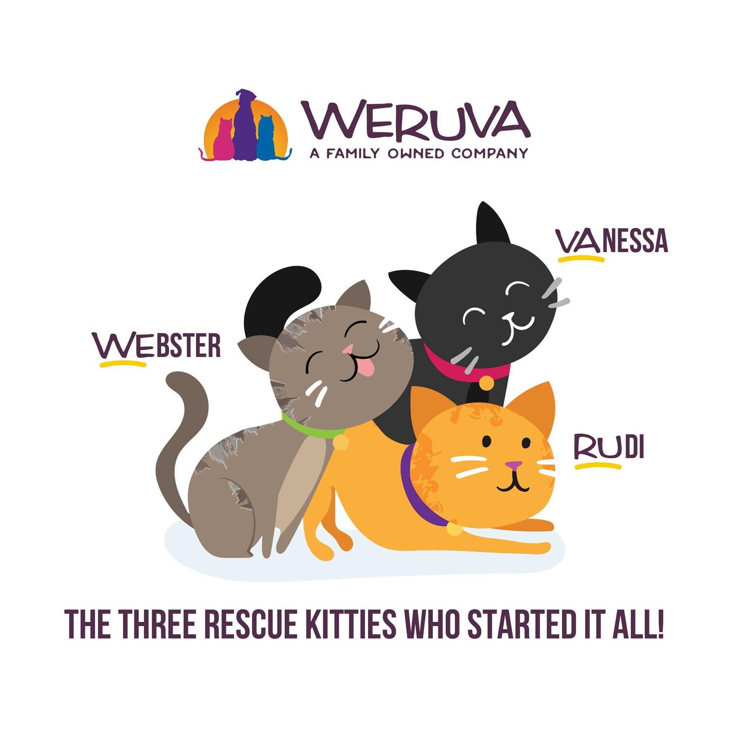 Weruva B.F.F. PLAY Best Feline Friend Paté Lovers