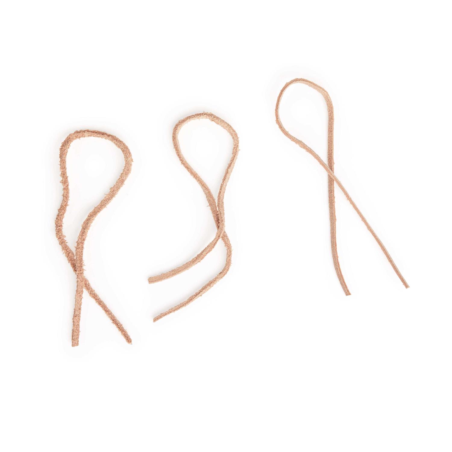 Imagitarium Hangout Reptile Hammock