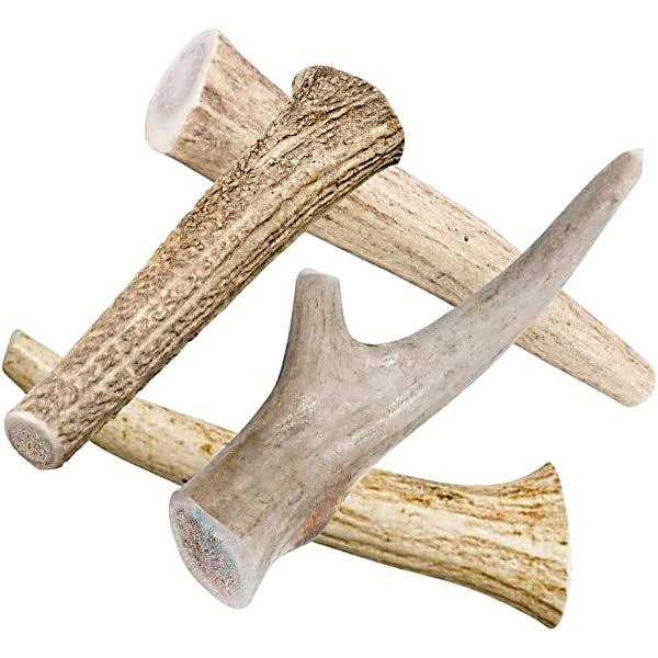 Hotspot Pets All Natural Whole Deer Antler Dog Chew Treats