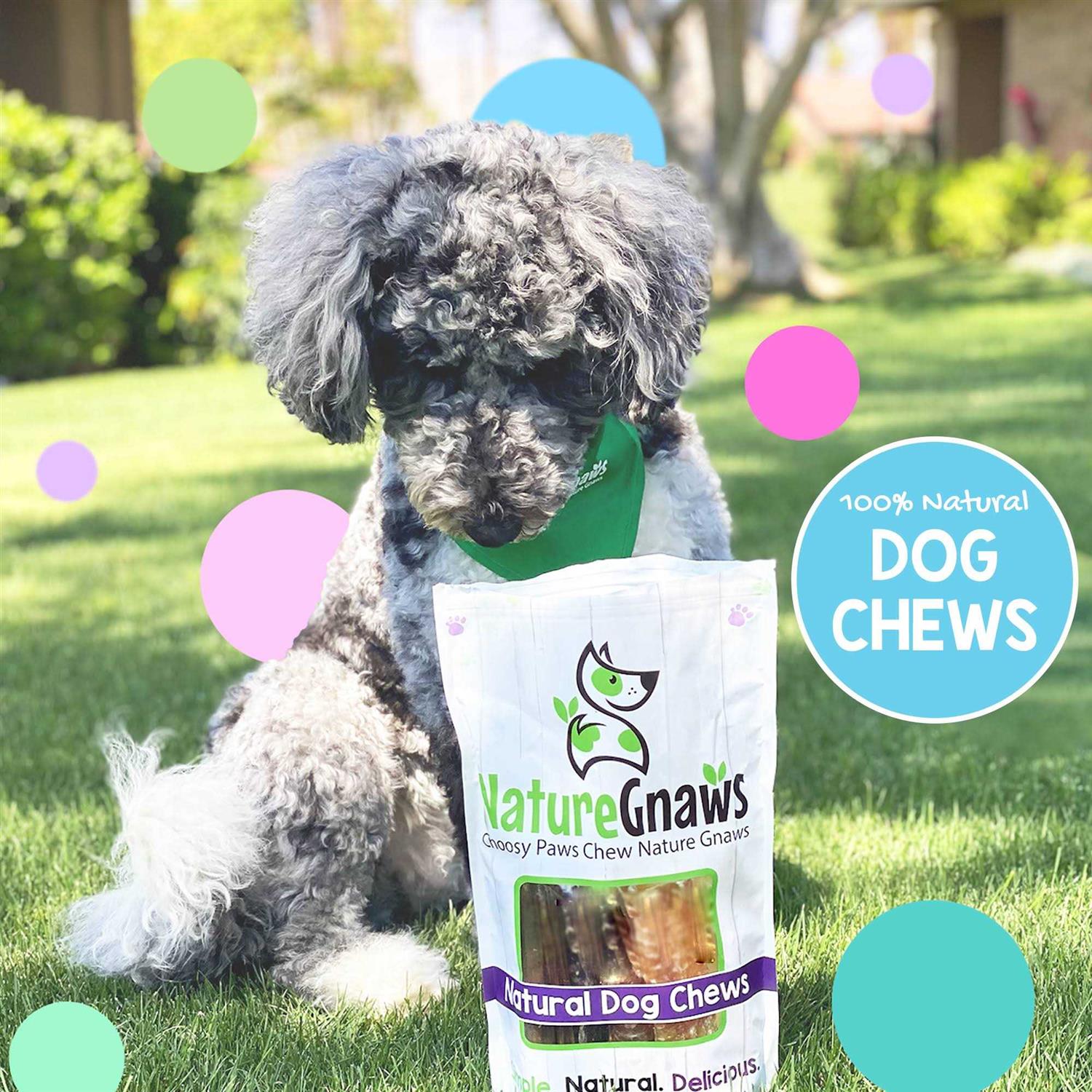 Nature Gnaws Variety Pack Natural Dog Chews