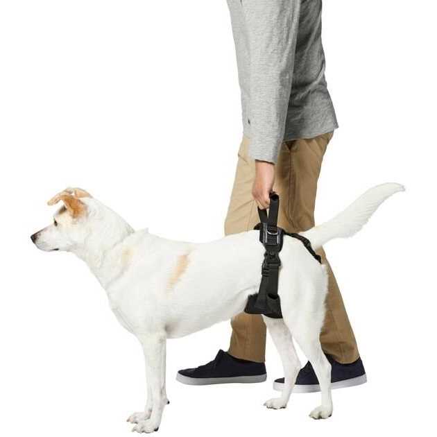 Frisco Rear Lift Handicapped Support Dog Harness