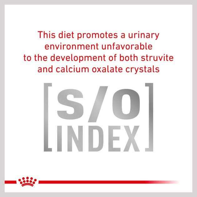 Royal Canin Veterinary Diet Cat Food