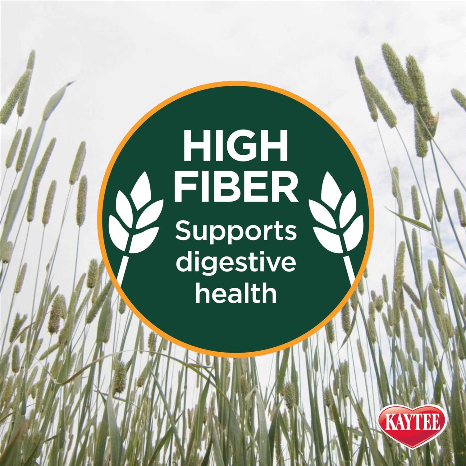 Kaytee Natural Timothy Hay