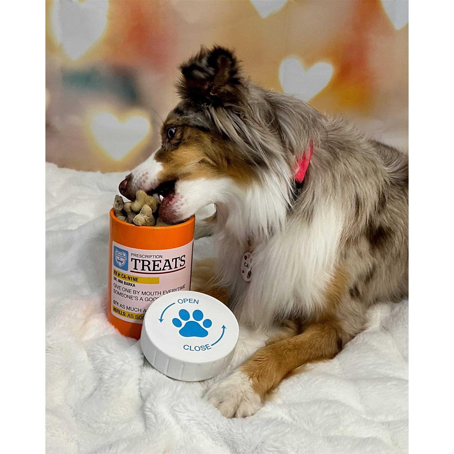 Bigmouth Inc Prescription Treat Jar