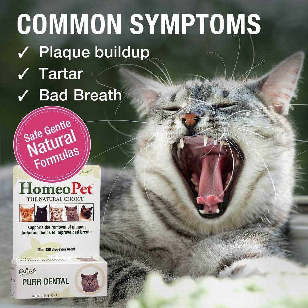 HomeoPet Feline Purr Dental for Cats