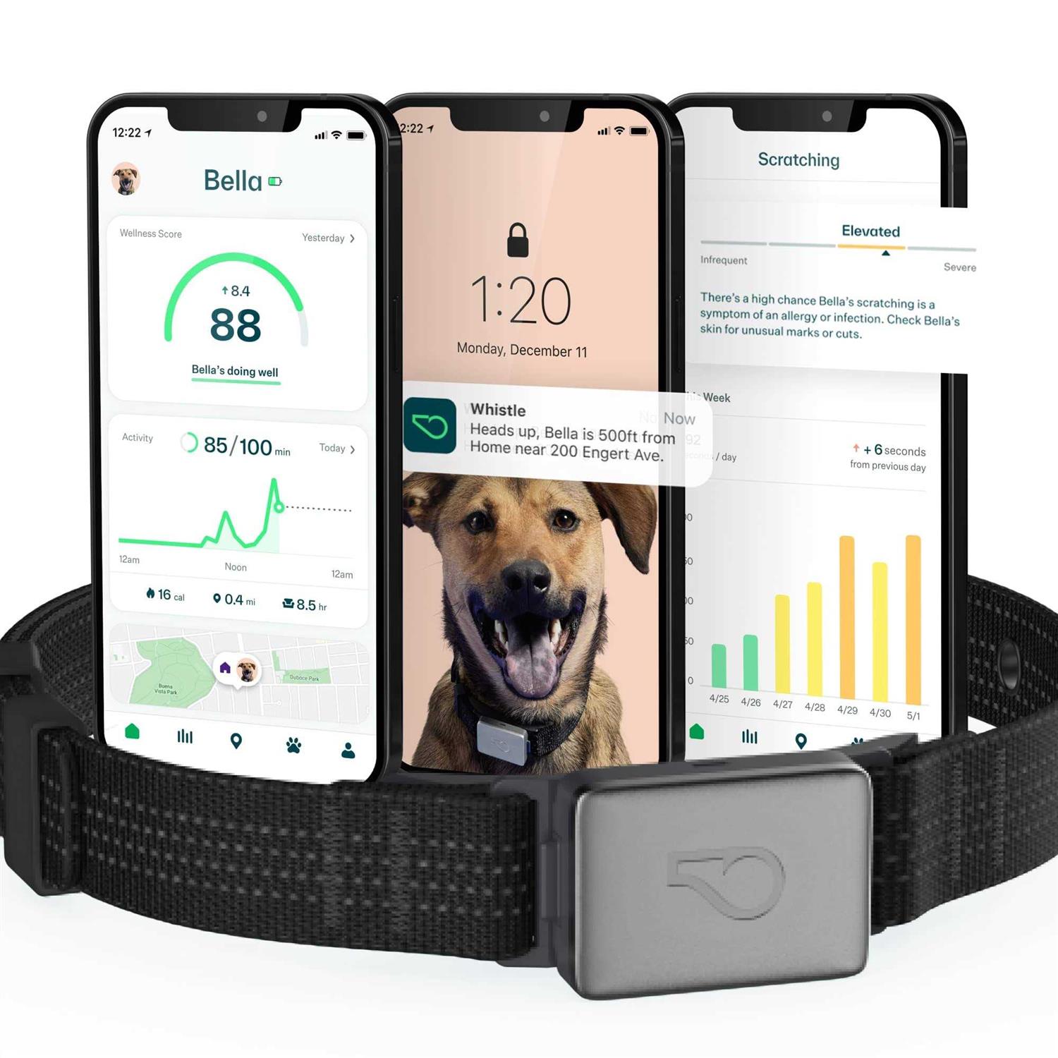 Whistle Switch Smart Collar Kit GPS location Health & Fitness