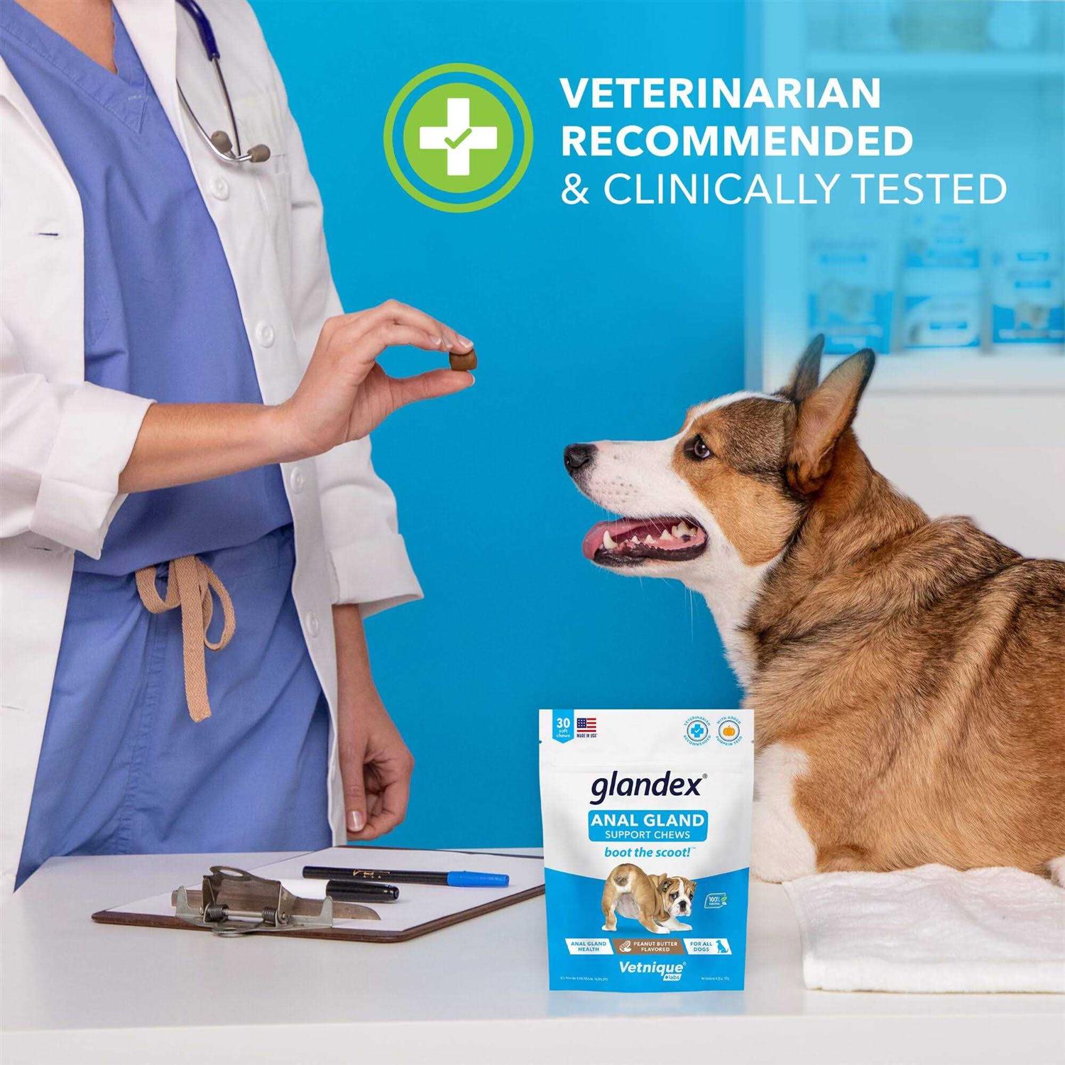 Glandex Anal Gland Soft Chews Supplement for Dogs