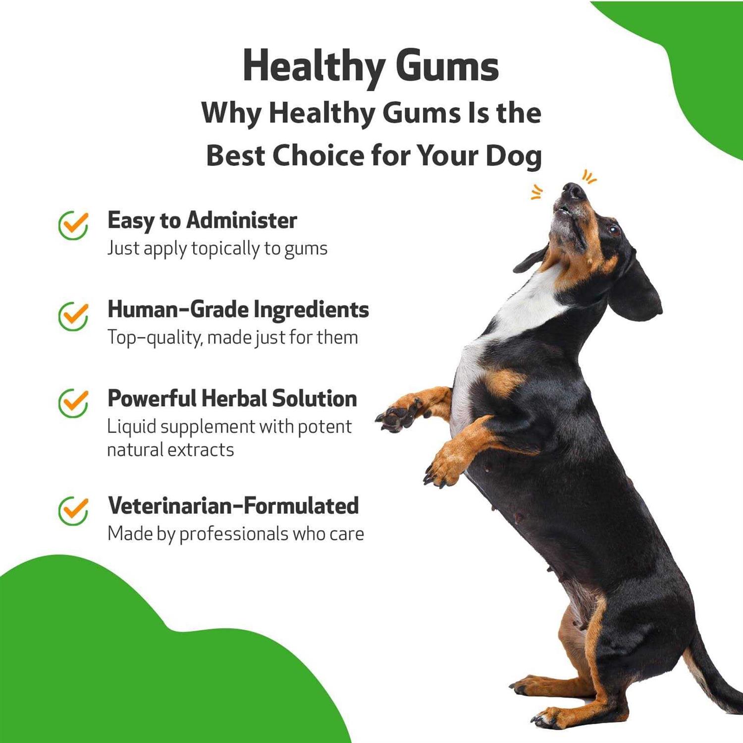 Pet Wellbeing Healthy Gums for Feline Periodontal Health