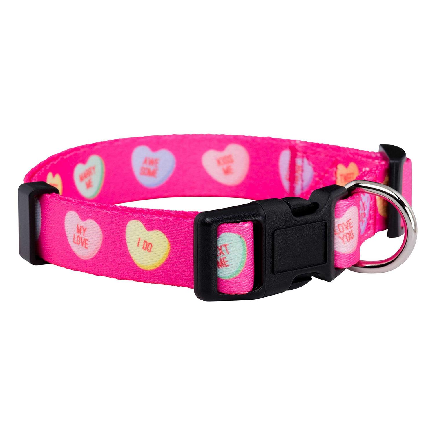 Native Pup Valentines Day Heart Dog Collar