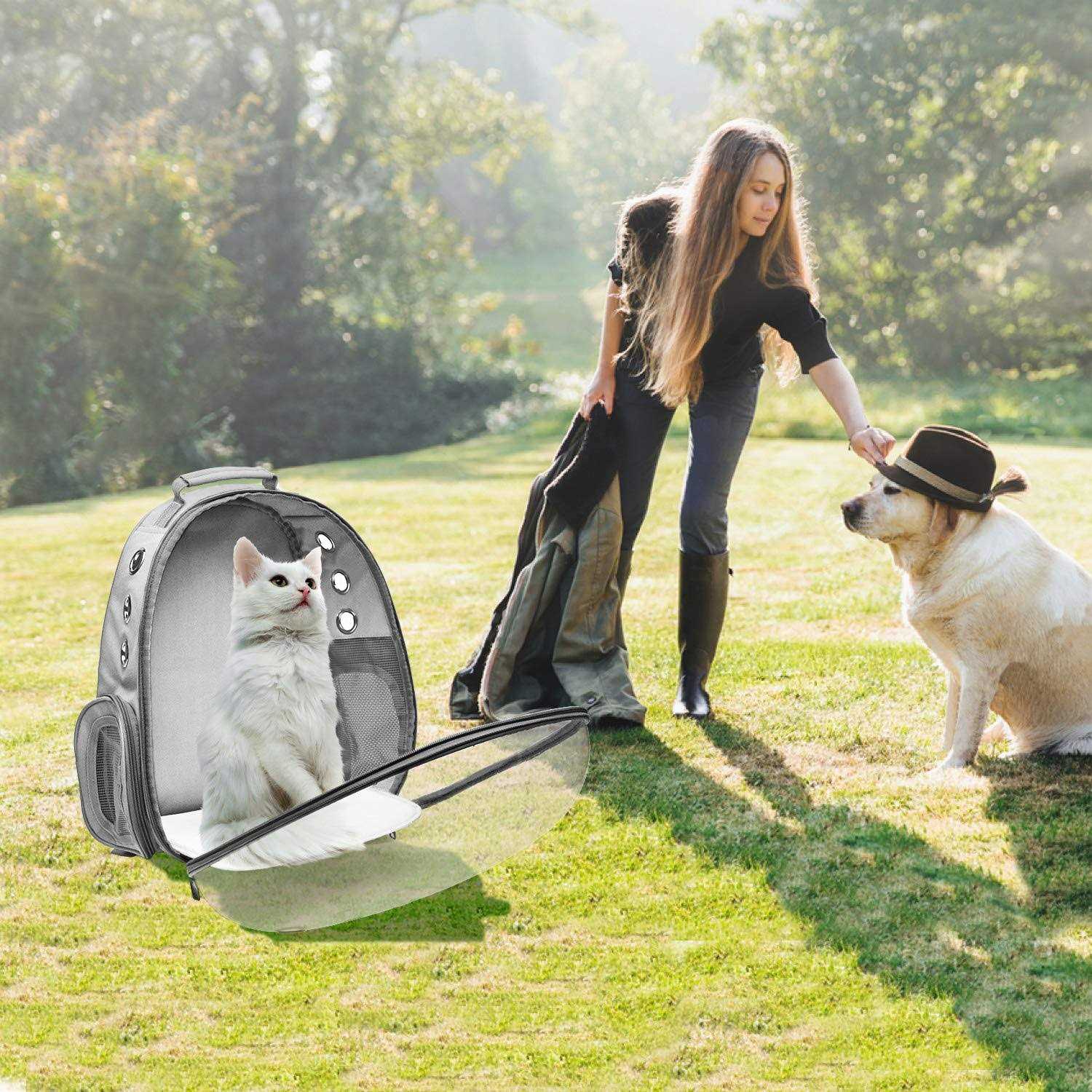 Henkelion Bubble Carrying Bag for Small Medium dogs cats