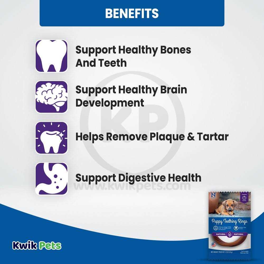 N-Bone Puppy Teething Ring Pumpkin