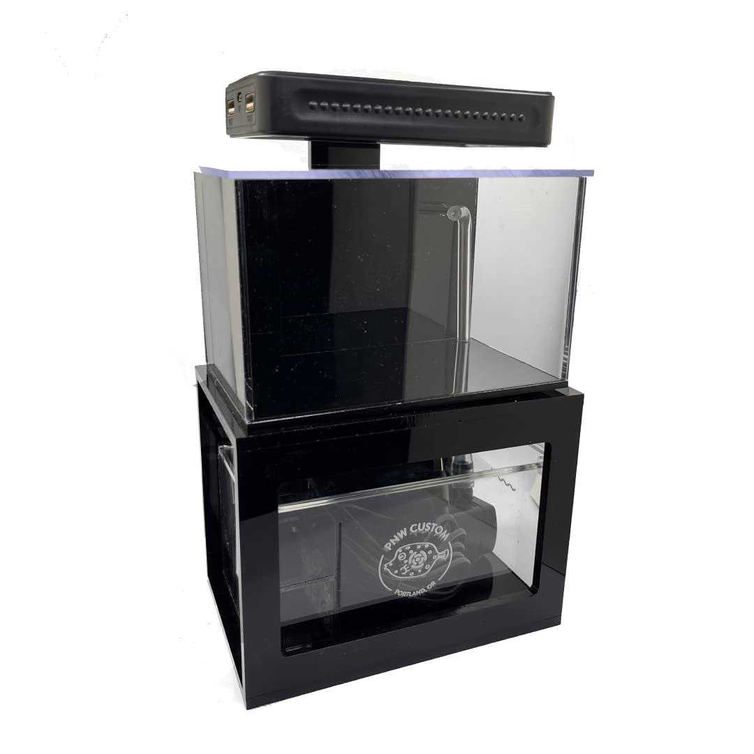 PNW Custom Micro Reef-Ready 40oz Desktop Aquarium