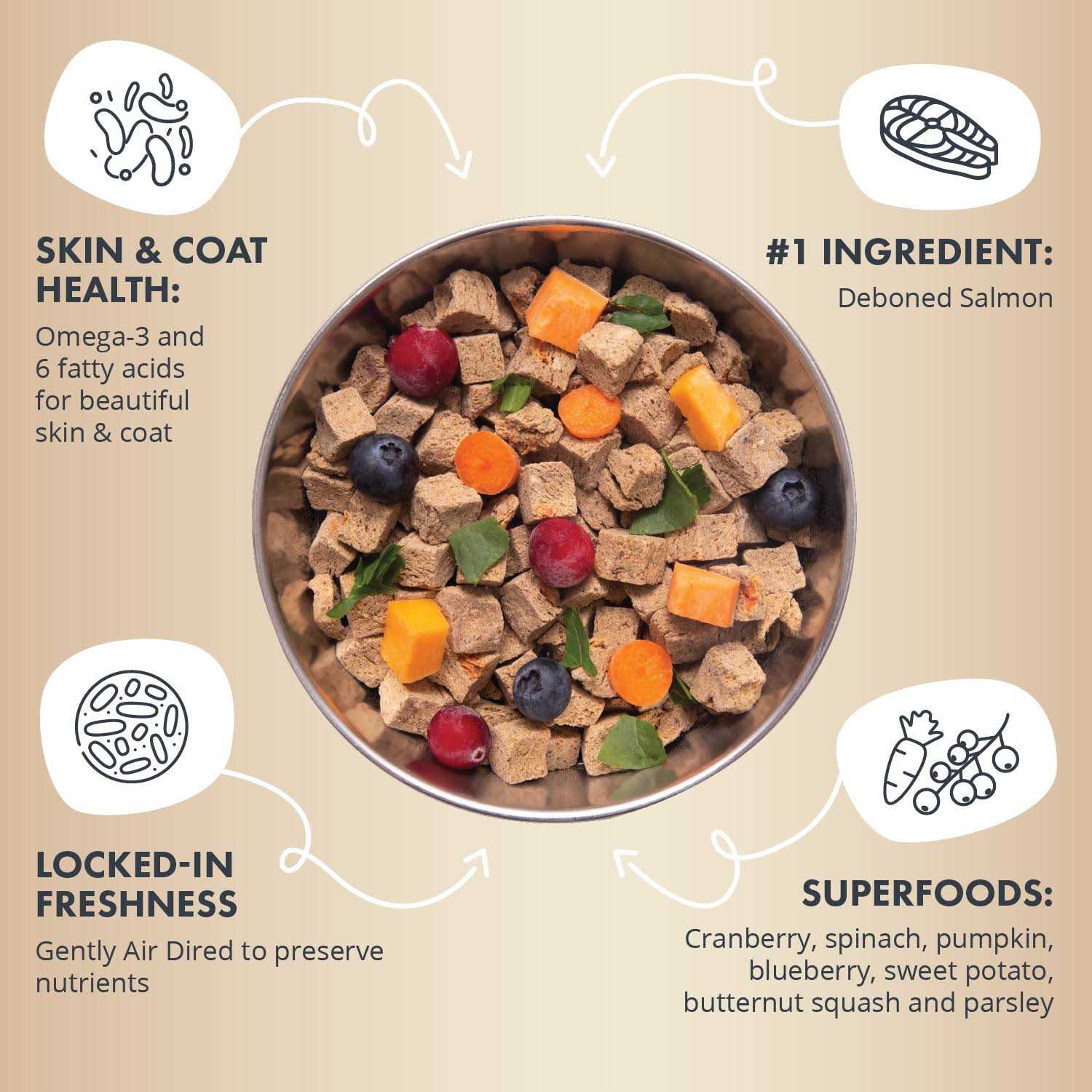 Health Extension Gently Air Dried Salmon Recipe Dog Food