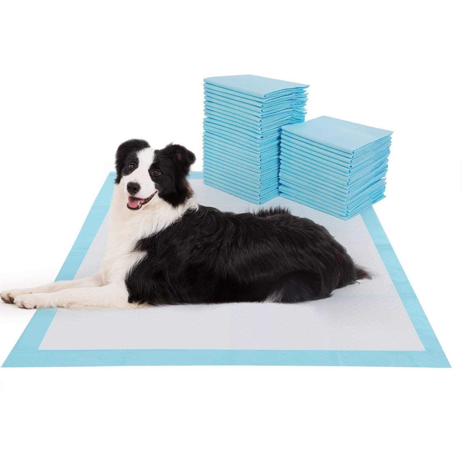 BESTLE Large Pet Training and Puppy Pads Pee Pads for Dogs Super Absorbent & Leak-Proof