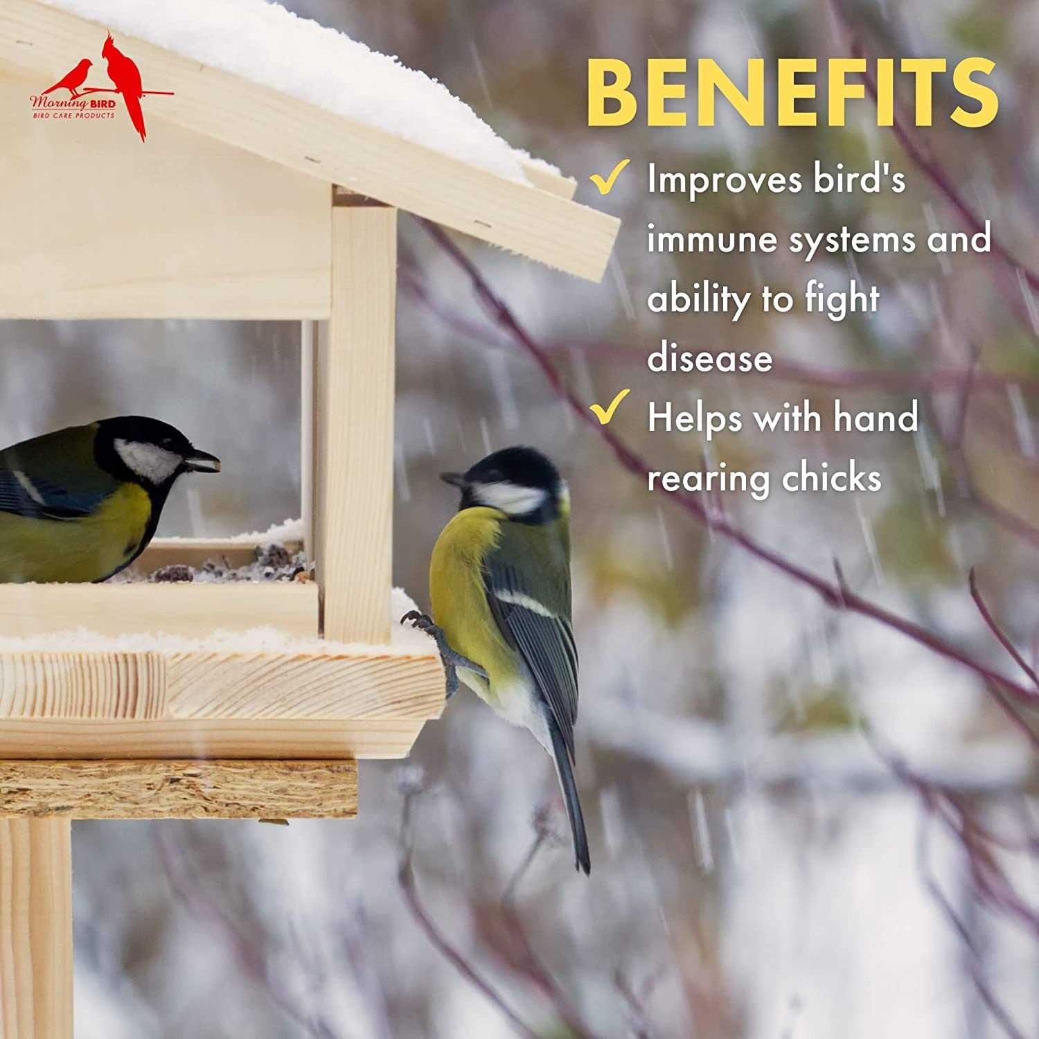 Morning Bird Thrive