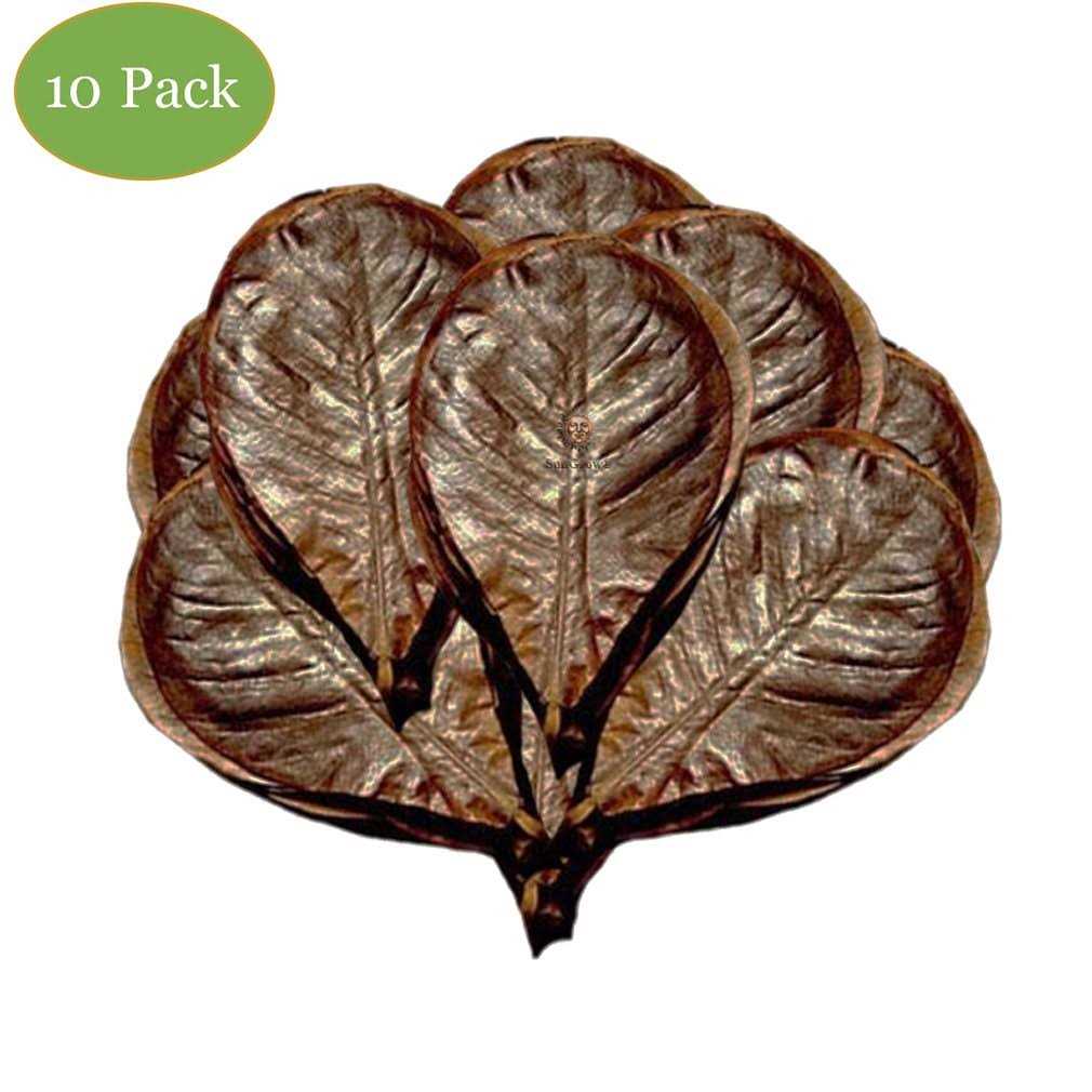 SunGrow Hermit Crab & Snail Catappa Leaves