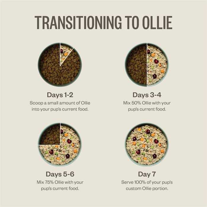 Ollie Chicken Dish with Carrots Fresh Frozen Dog Food