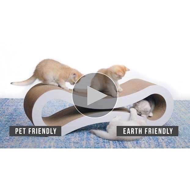 PetFusion Ultimate Cat Scratcher Lounge