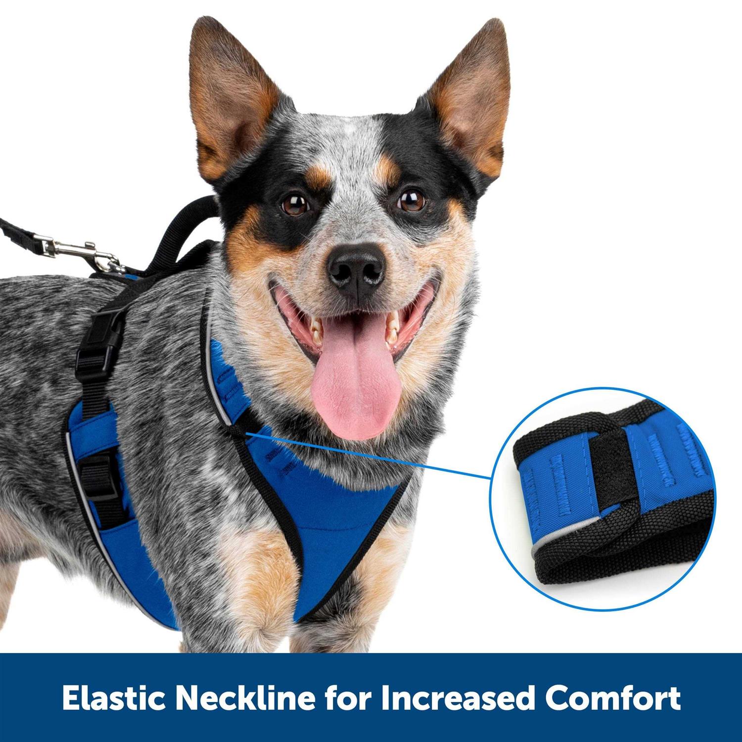 PetSafe EasySport Dog Harness