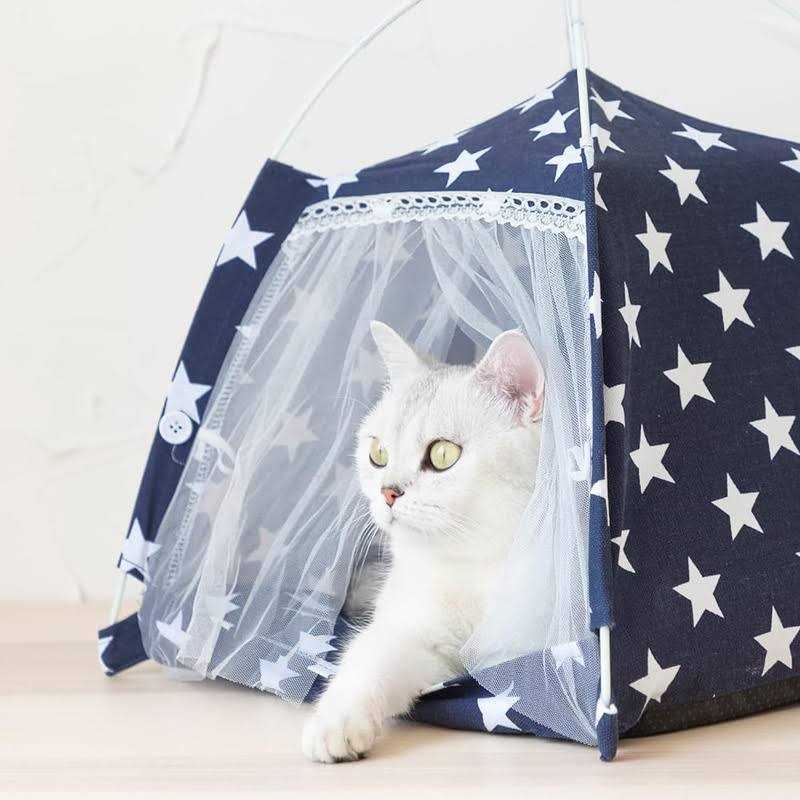 Lovely Caves Stars Dog & Cat Tent