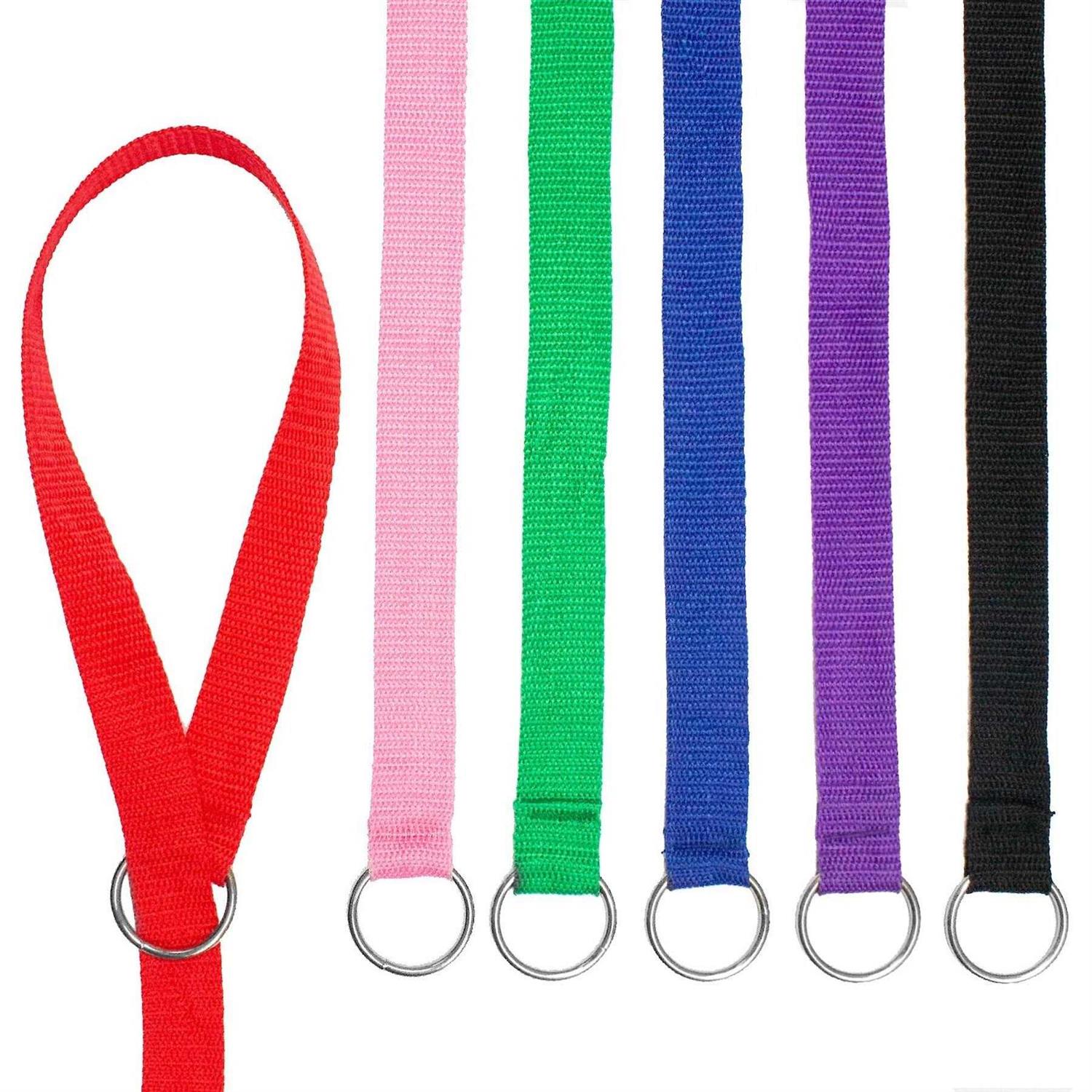 Downtown Pet Supply Dog Slip Lead Dog Leash