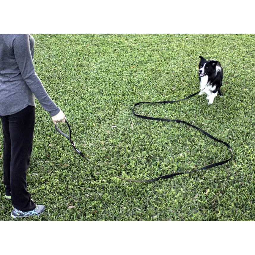 Leashboss 10 Foot Dog Leash with Padded Handle