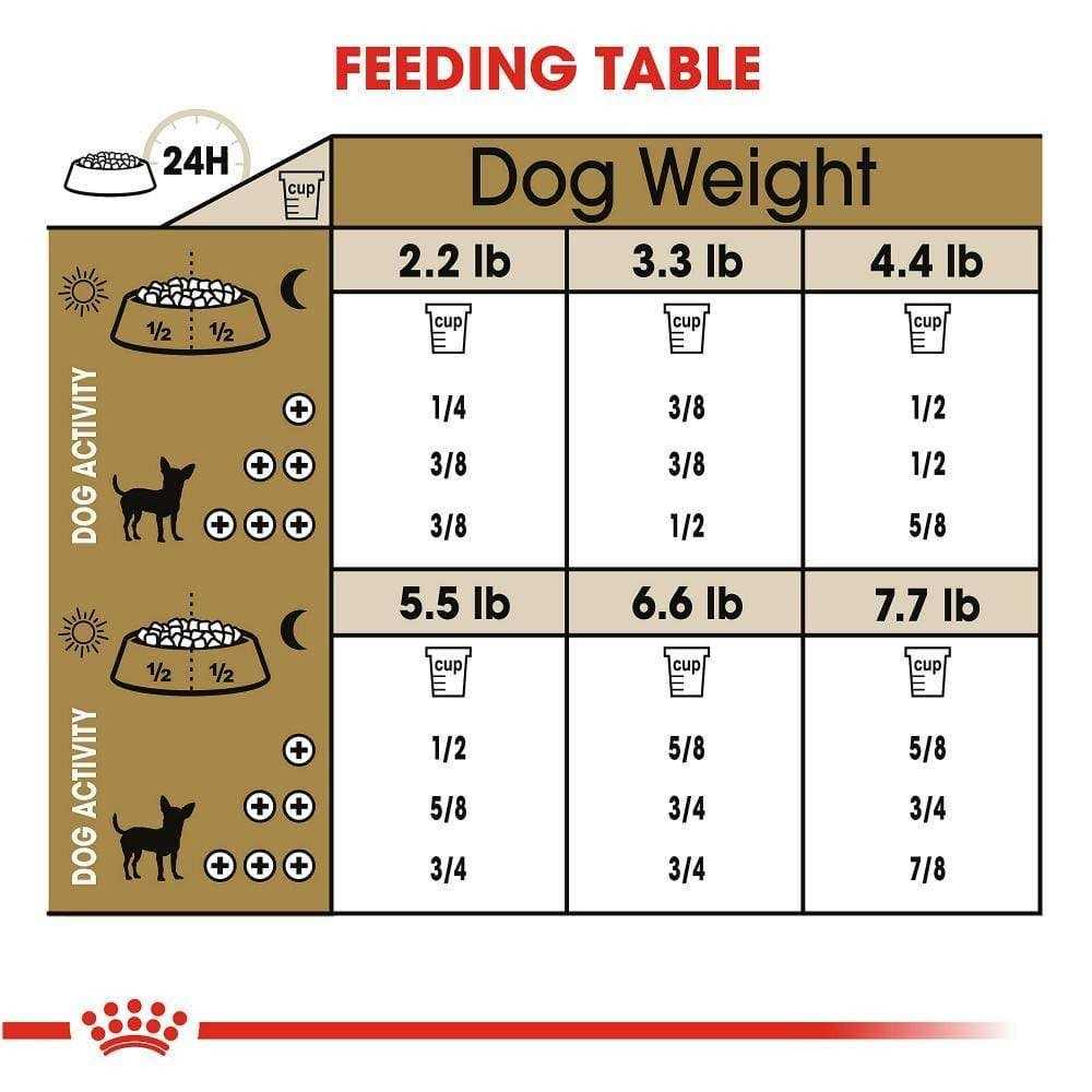 Royal Canin Chihuahua Adult Dry Dog Food 8 Plus Years