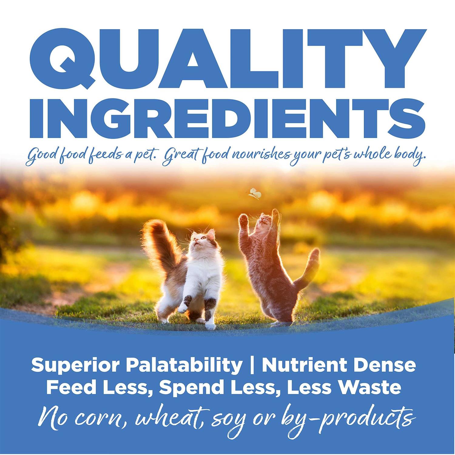 NutriSource Chicken/Salmon/Liver Dry Cat & Kitten Food