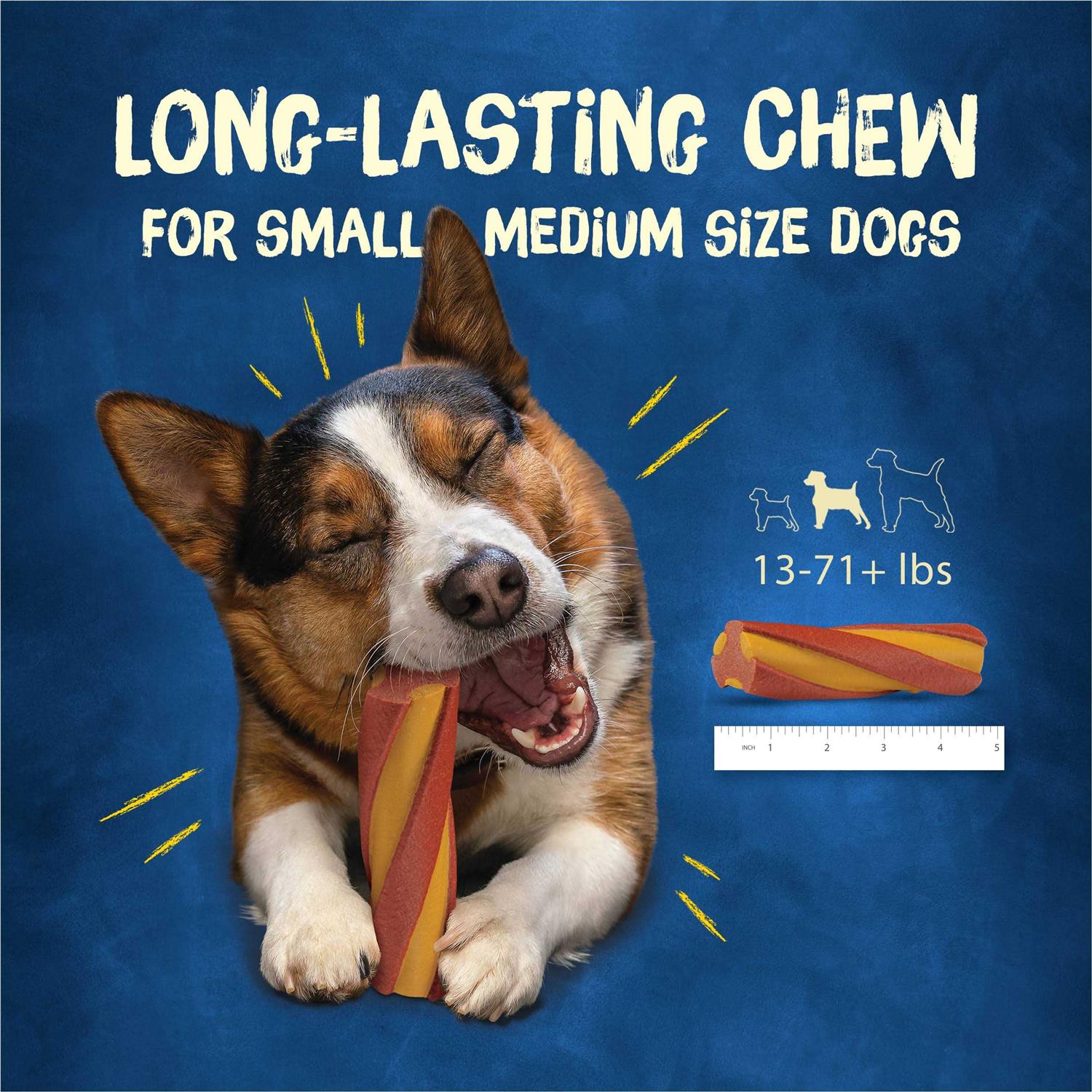 Purina Busy with Beggin’ Twist’d Small/Medium Dog Treats