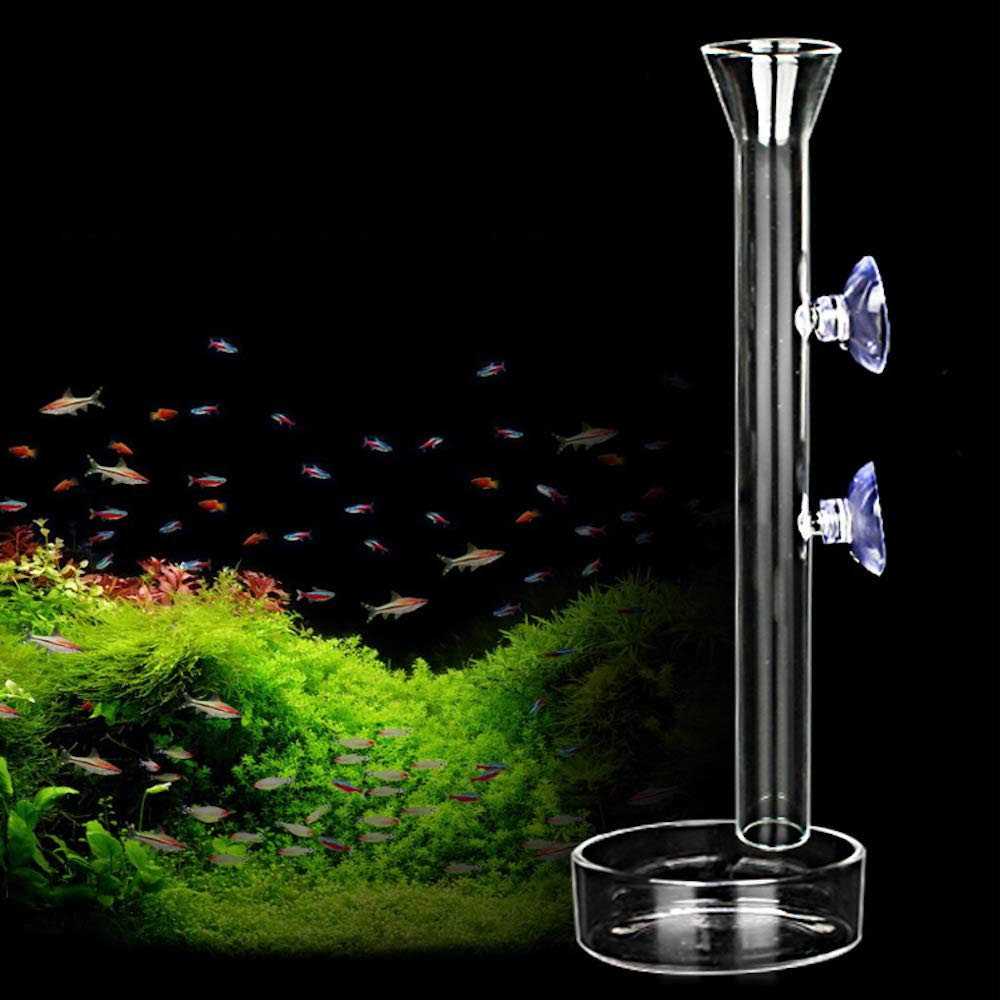 AnxunJim Aquarium Shrimp Feeding Tube and Dish Clear Crystal Glass Fish Tank Shrimp Feeder Tube Tray