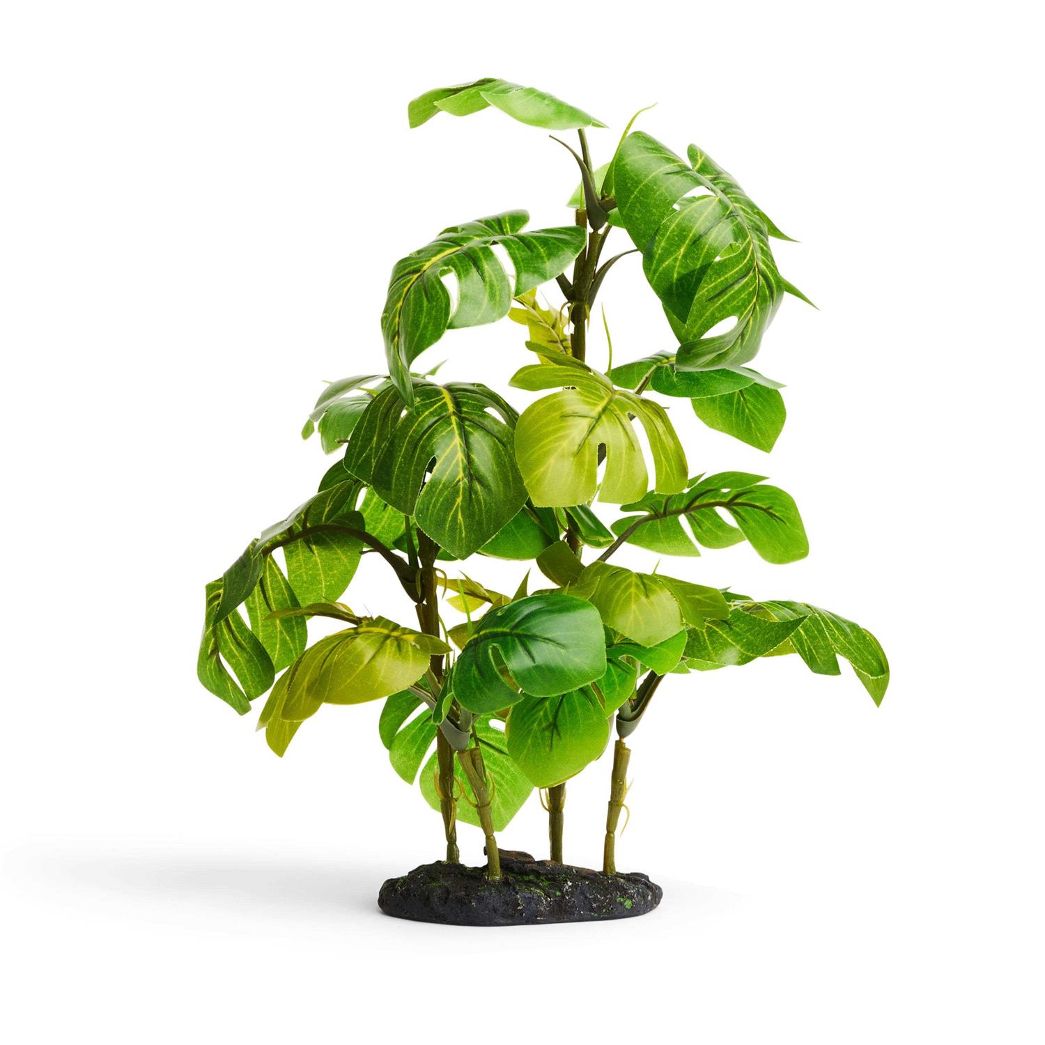 Imagitarium Stand Araceae Plant Terrarium Decor