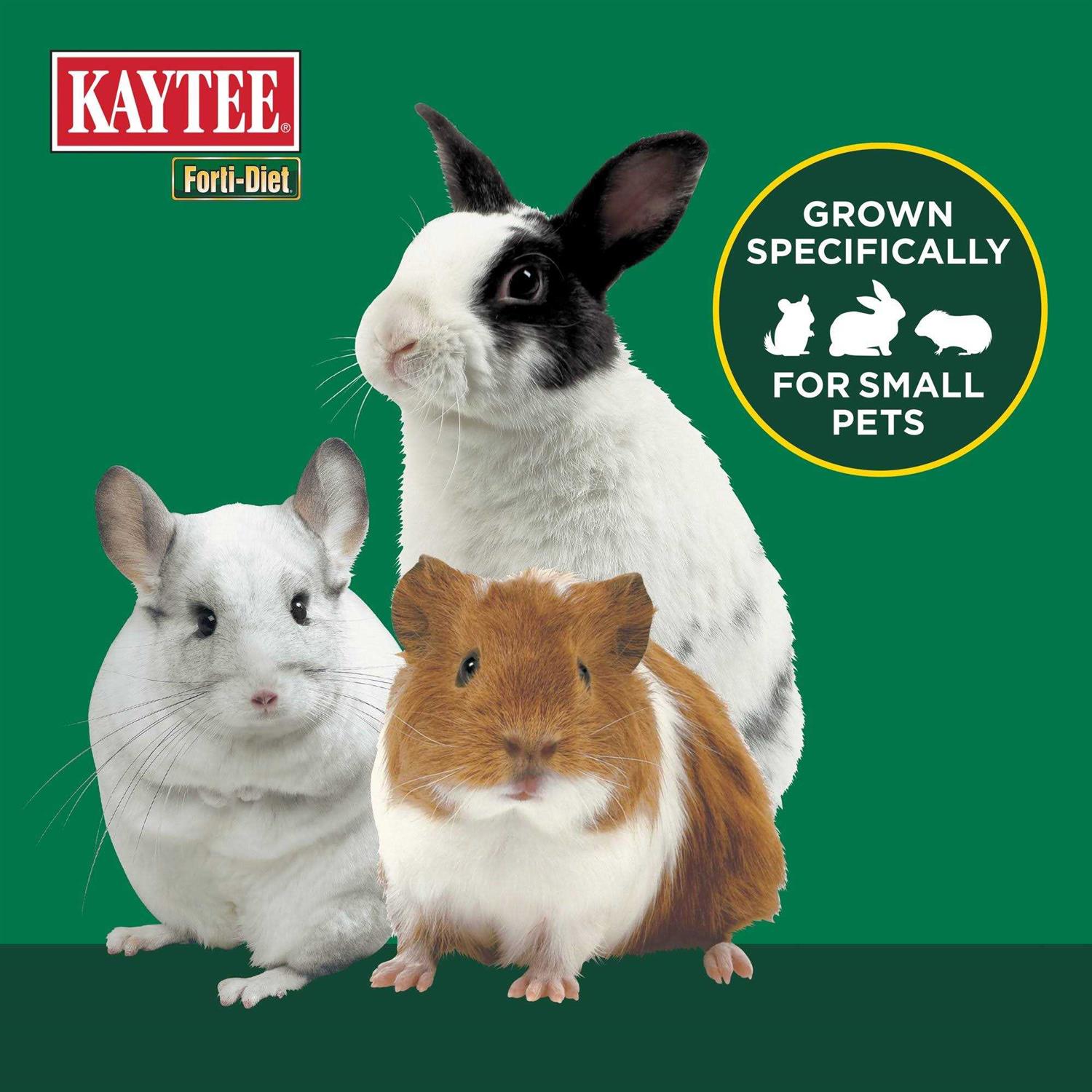 Kaytee Forti diet Timothy Hay for Small Animals