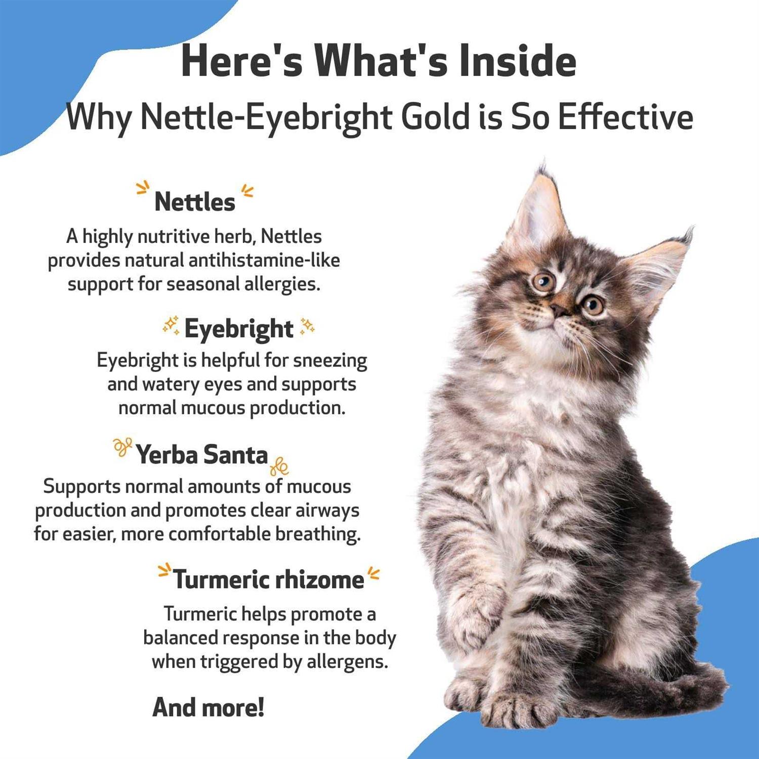 Pet Wellbeing Nettle Eyebright Gold for Dogs
