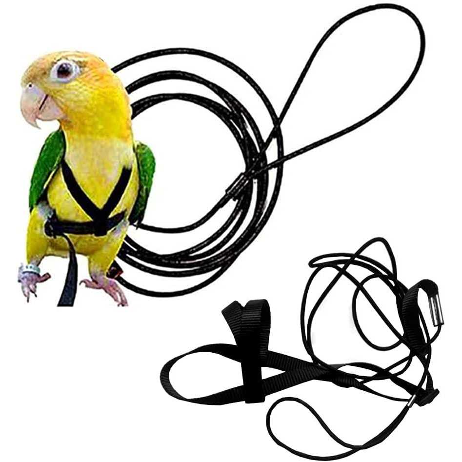 Anelekor Adjustable Birds Harness and Leash Parrot Harness Leash Training Supplies Pet Anti-bite Outdoor Flying Rope for Conures Budgerigar Lovebird