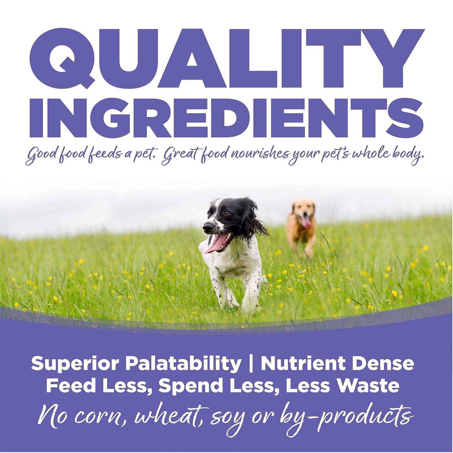 NutriSource Chicken Rice Small Medium-Breed Puppy Dry Dog Food