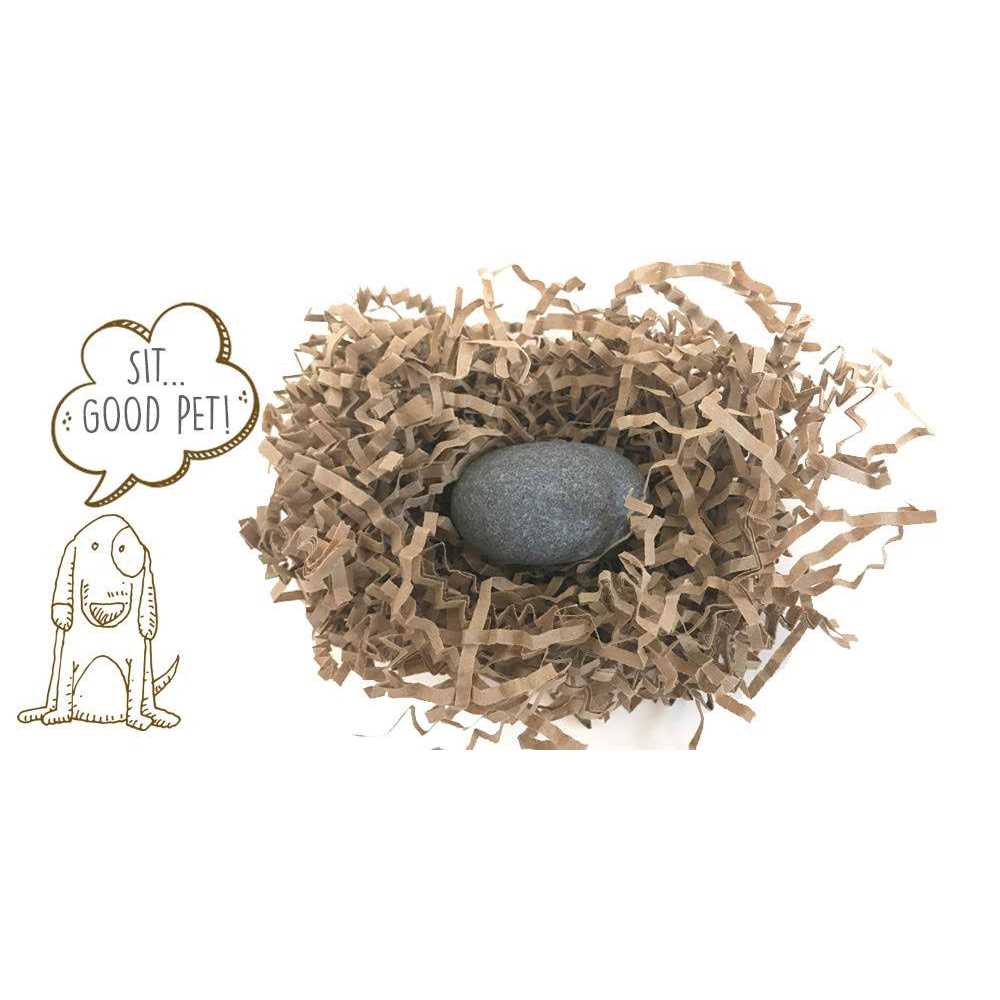Pet Rock The Original by Gary Dahl