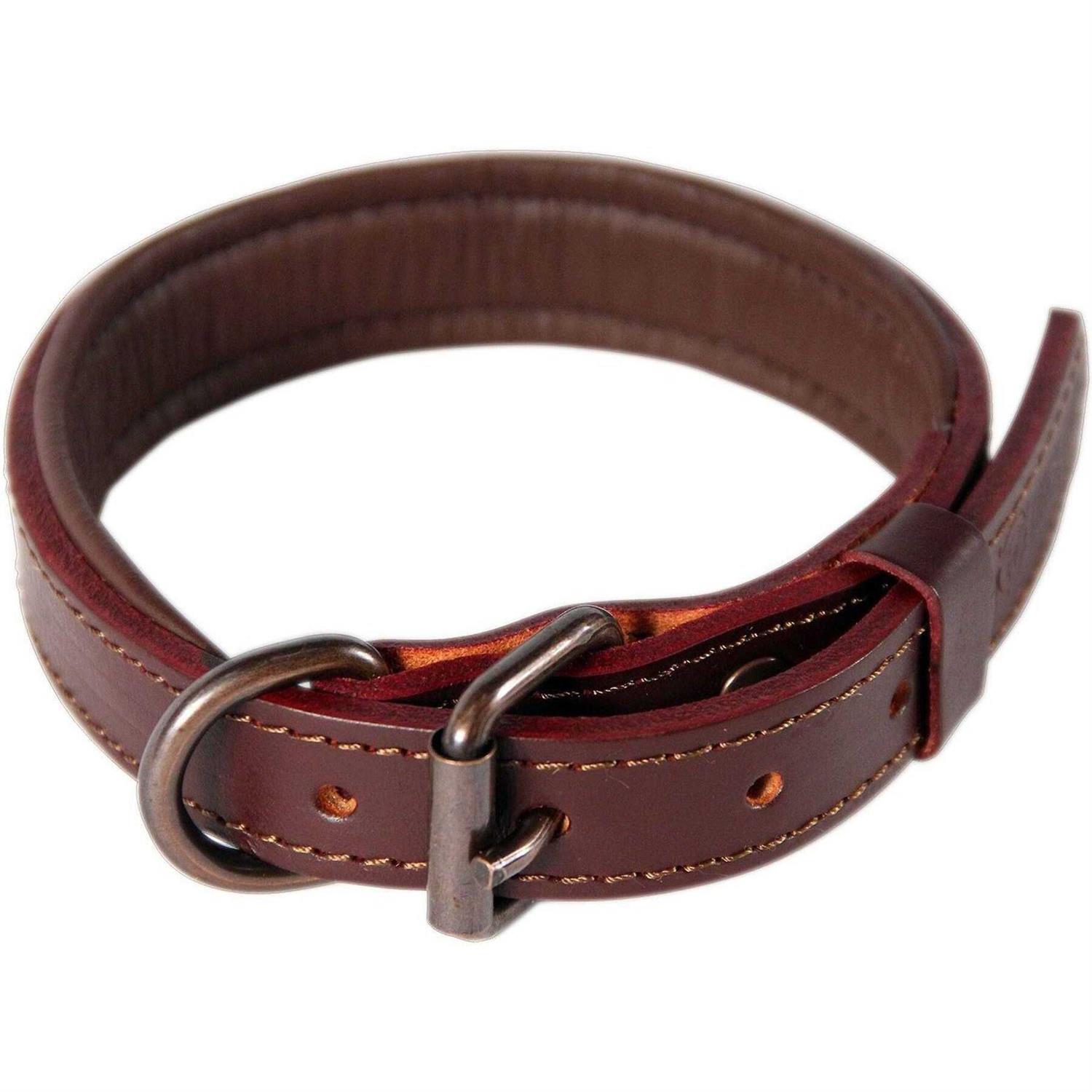 Logical Leather Padded Dog Collar Best Full Grain Genuine Leather Collar
