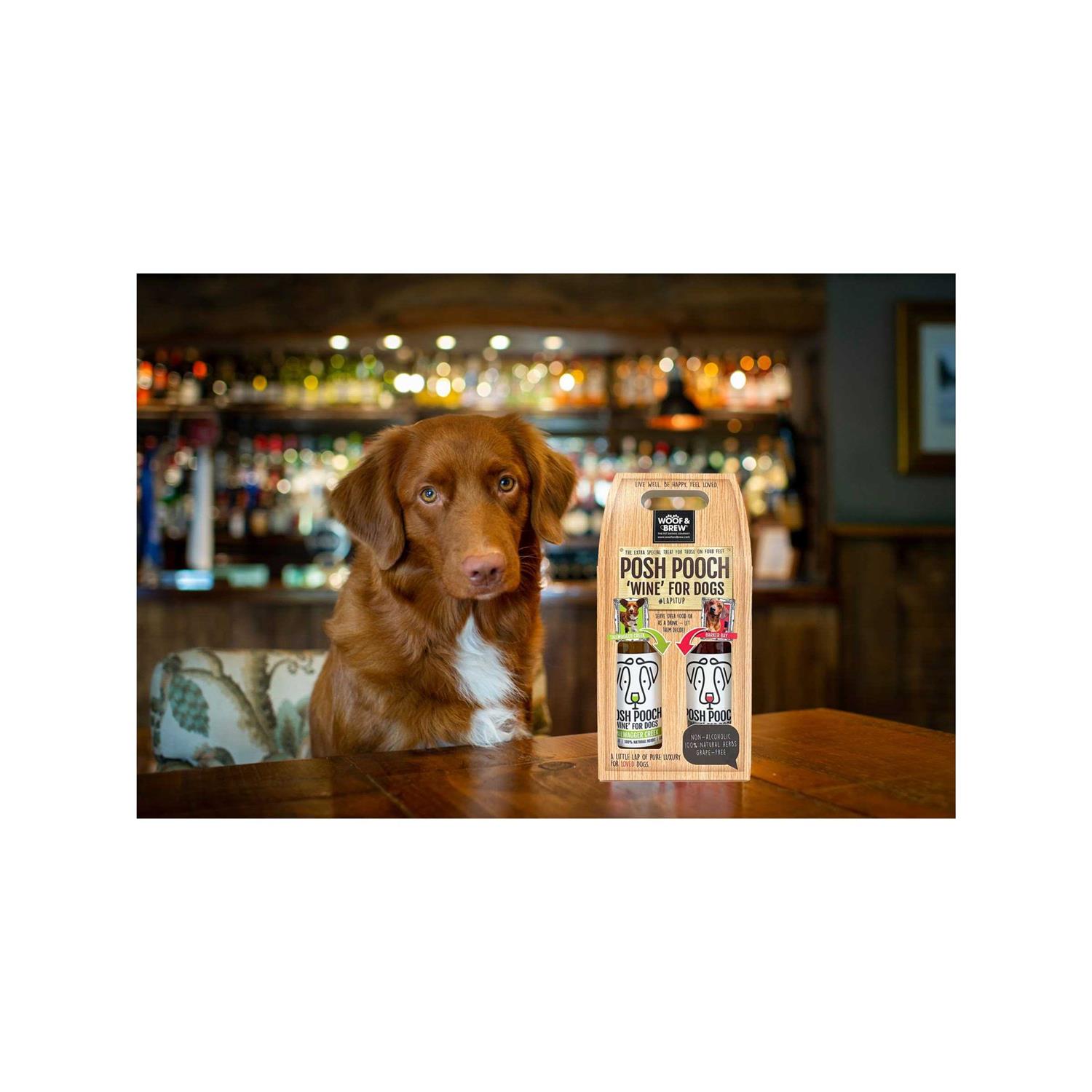 American Pet Supplies Posh Pooch Dog Wine Duo Pack