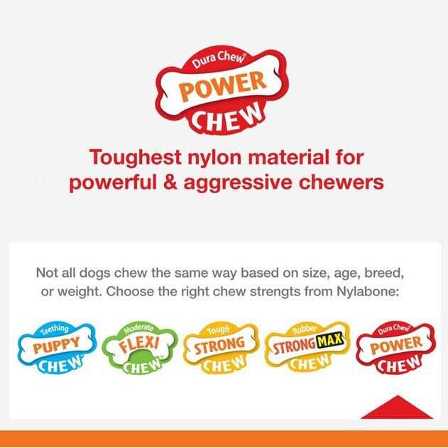 Nylabone Power Chew Customer Favorites Dog Chew Toys Bundle