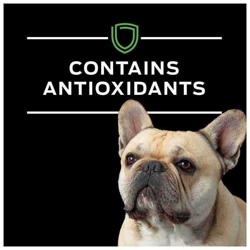 Purina Pro Plan Veterinary Diets HA Hydrolyzed Chicken Flavor Canine Formula in Sauce adult Wet Dog Food