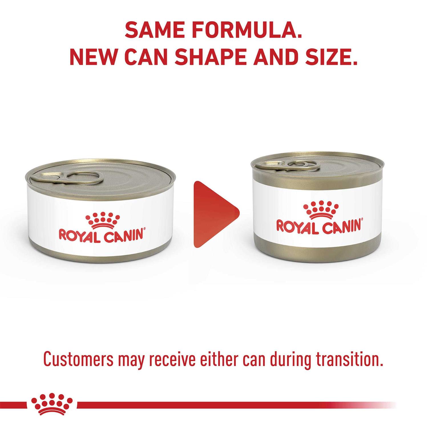 Royal Canin Digest Sensitive Cat Food Loaf in Sauce